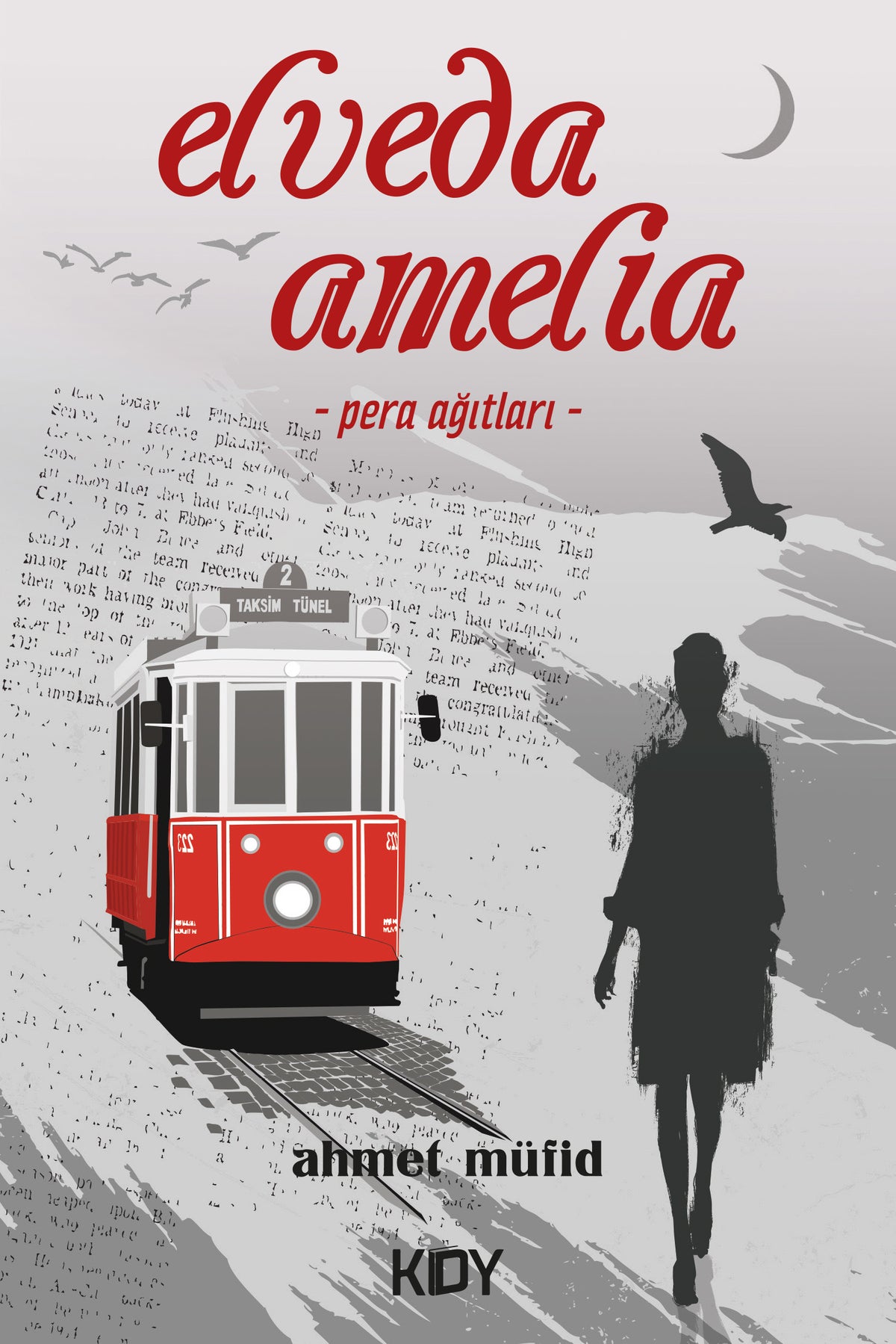 Elveda Amelia - Ahmet Müfid kitap kapağı