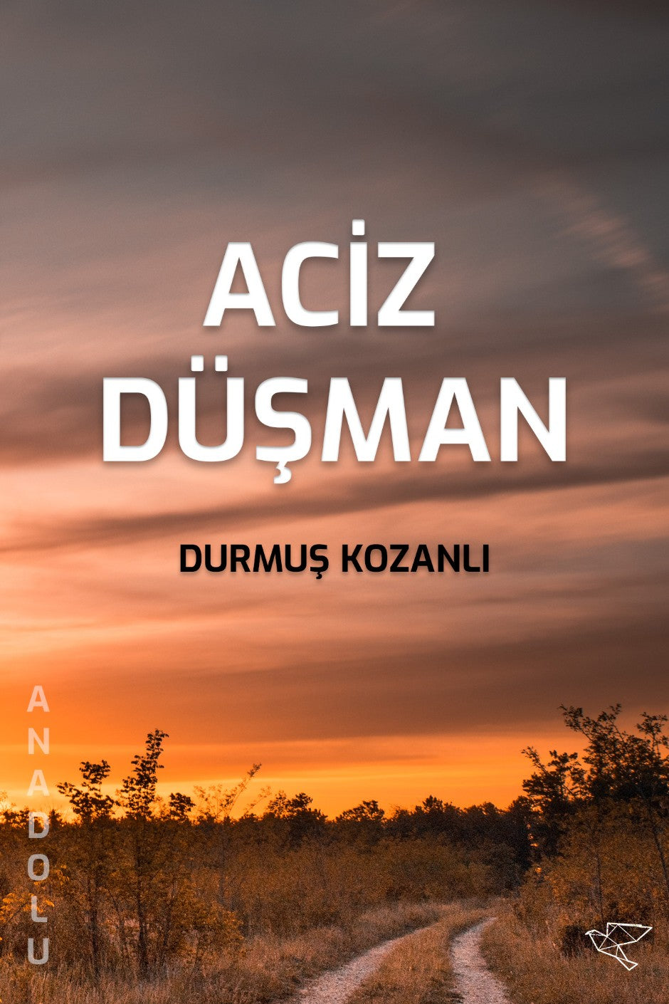 Aciz Düşman - Durmuş Kozanlı kitap kapağı