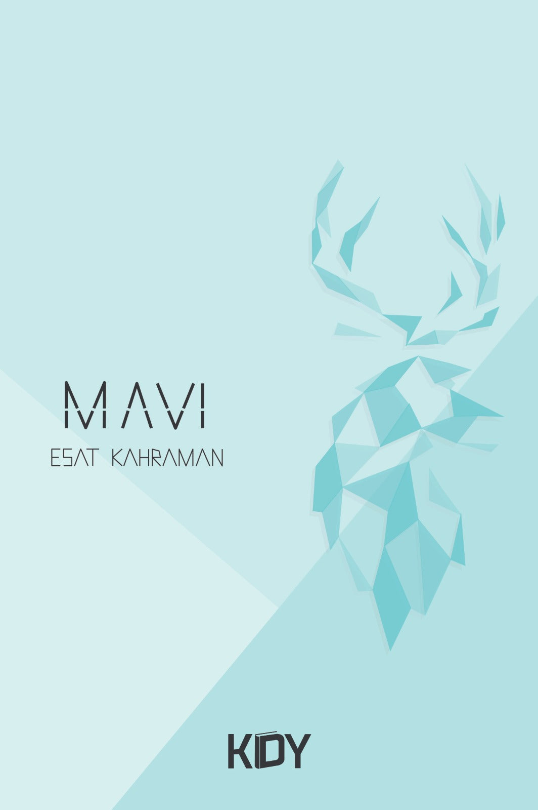 Mavi - Esat Kahraman kitap kapağı