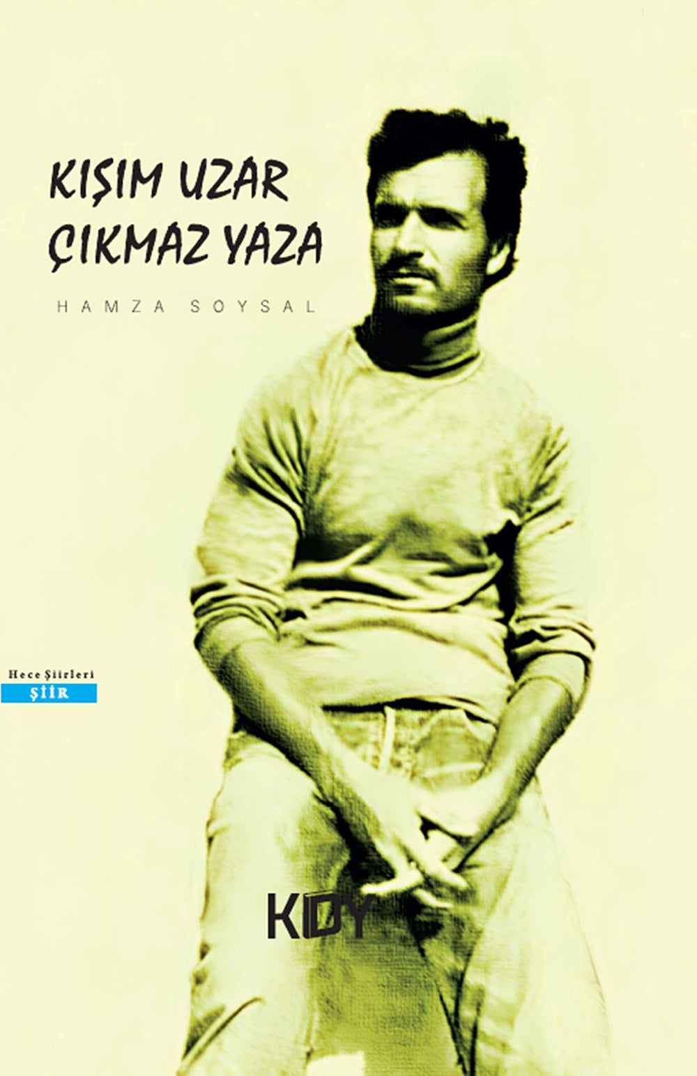 Kışım Uzar Çıkmaz Yaza - Hamza Soysal kitap kapağı