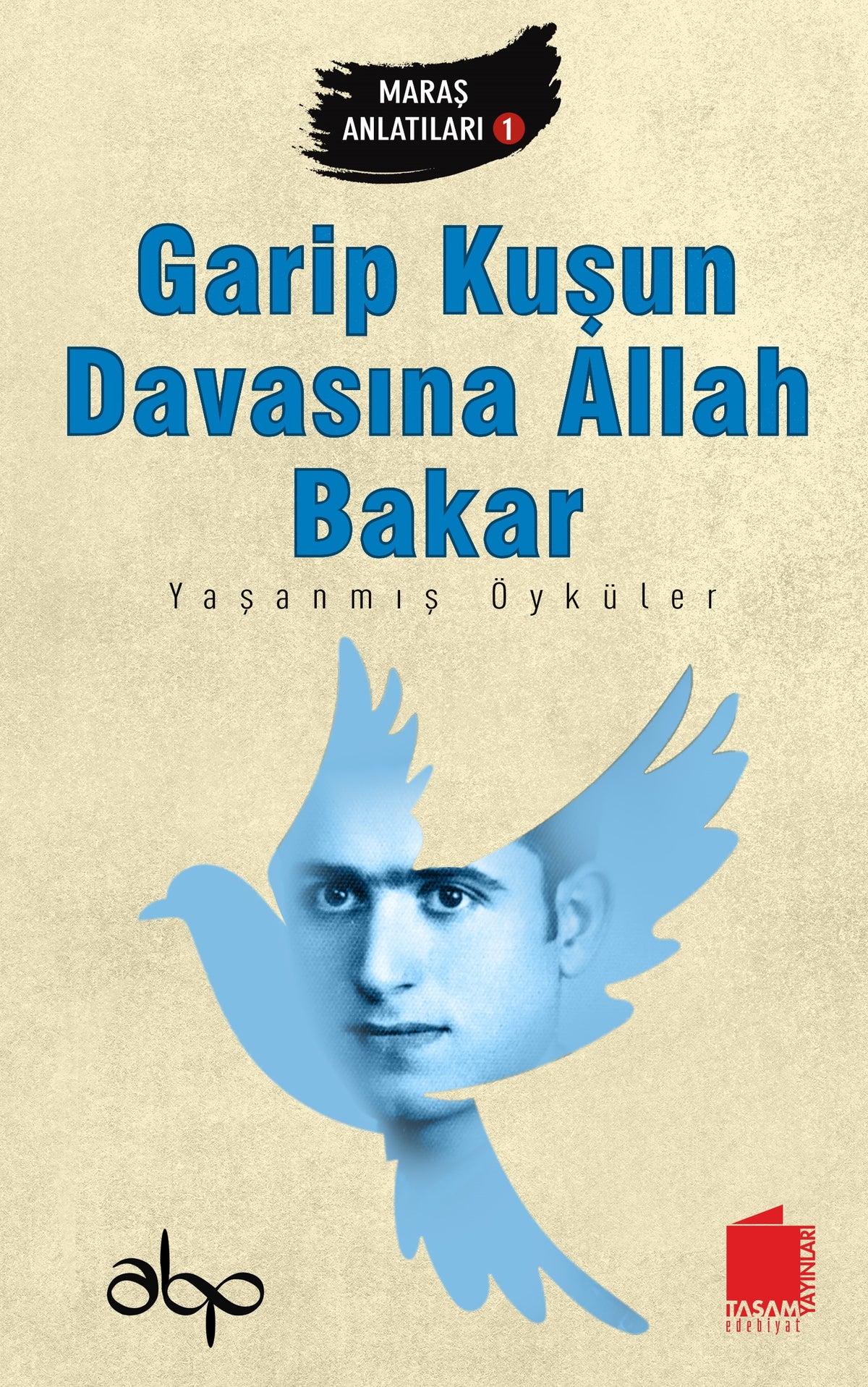 Garip Kuşun Davasına Allah Bakar - Ahmet Beycan Pirahmetoğlu kitap kapağı