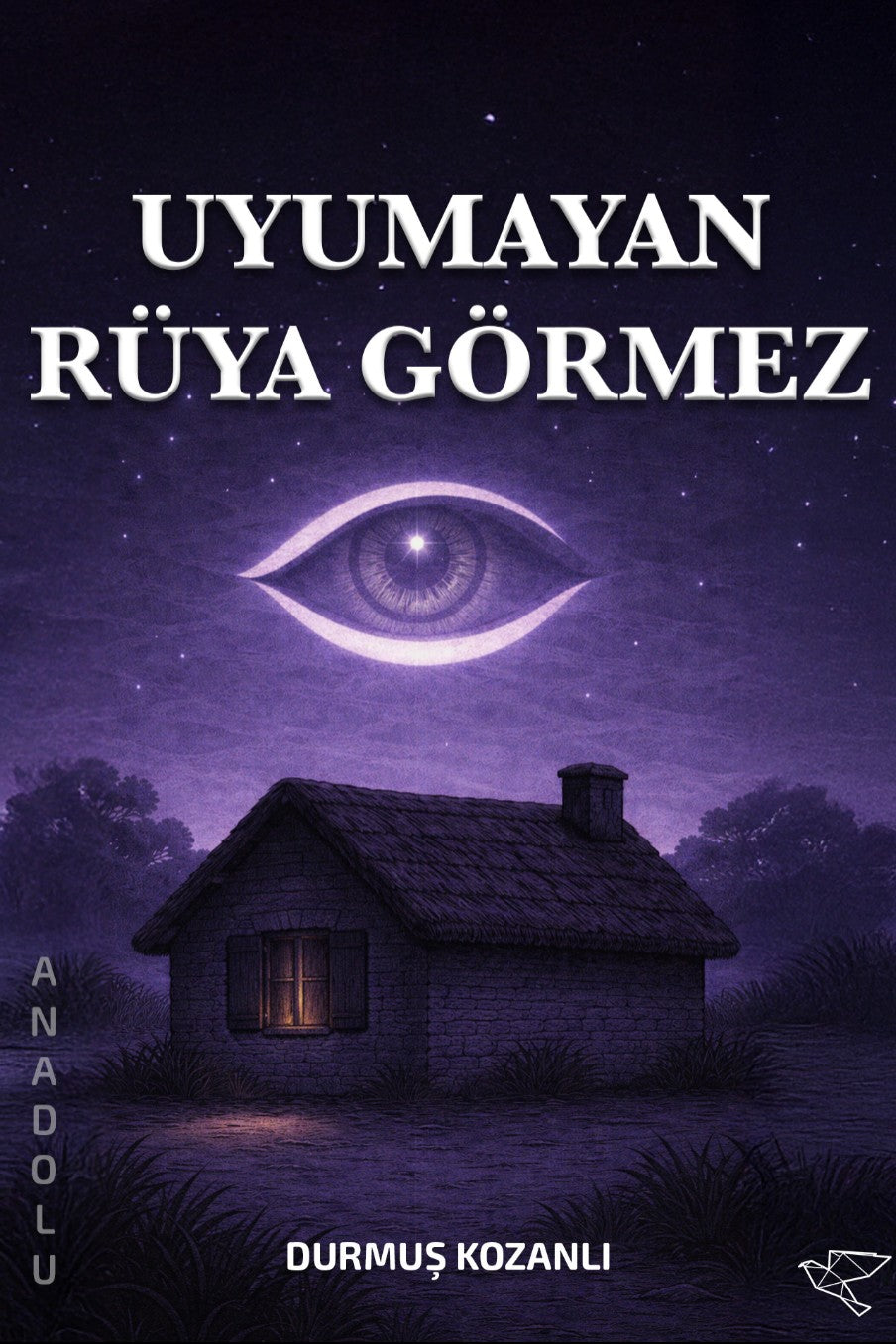 Uyuyamayan Rüya Görmez - Durmuş Kozanlı kitap kapağı
