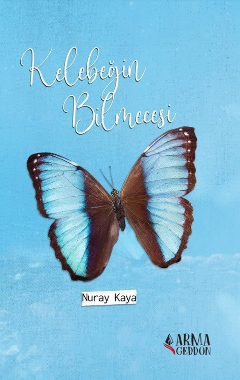 Kelebeğin Bilmecesi - Nuray Kaya kitap kapağı