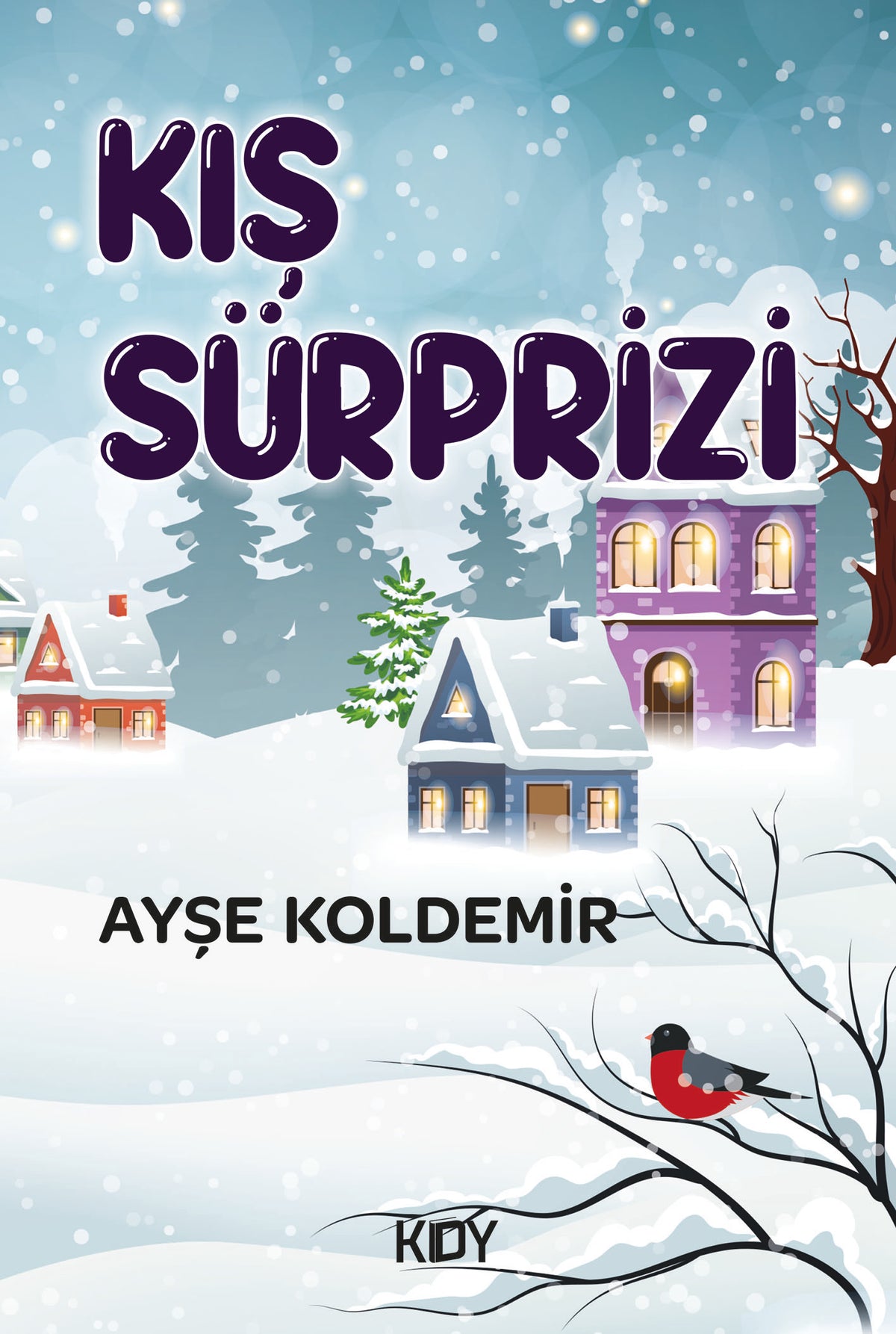 Kış Sürprizi - Ayşe Koldemir kitap kapağı