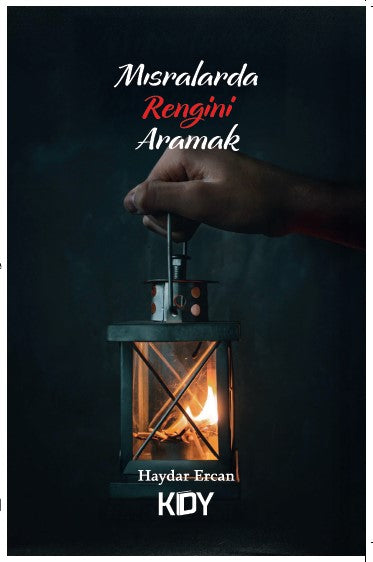 Mısralarda Rengini Aramak - Haydar Ercan kitap kapağı