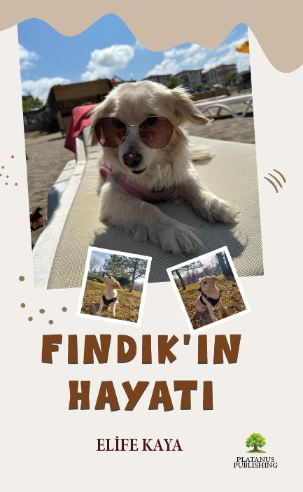 Fındık'ın Hayatı - Elife Kaya kitap kapağı