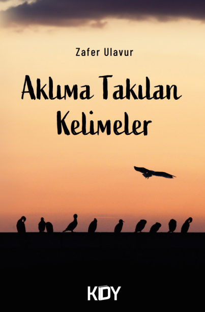 Aklıma Takılan Kelimeler - Zafer Ulavur kitap kapağı