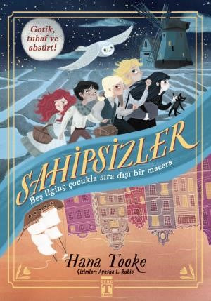 Sahipsizler - Hana Tooke - Genç Timaş - Hana Tooke kitap kapağı