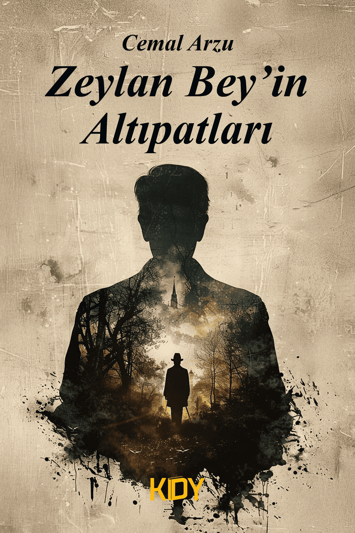 Zeylan Beyin Altıpatları - Cemal Arzu kitap kapağı