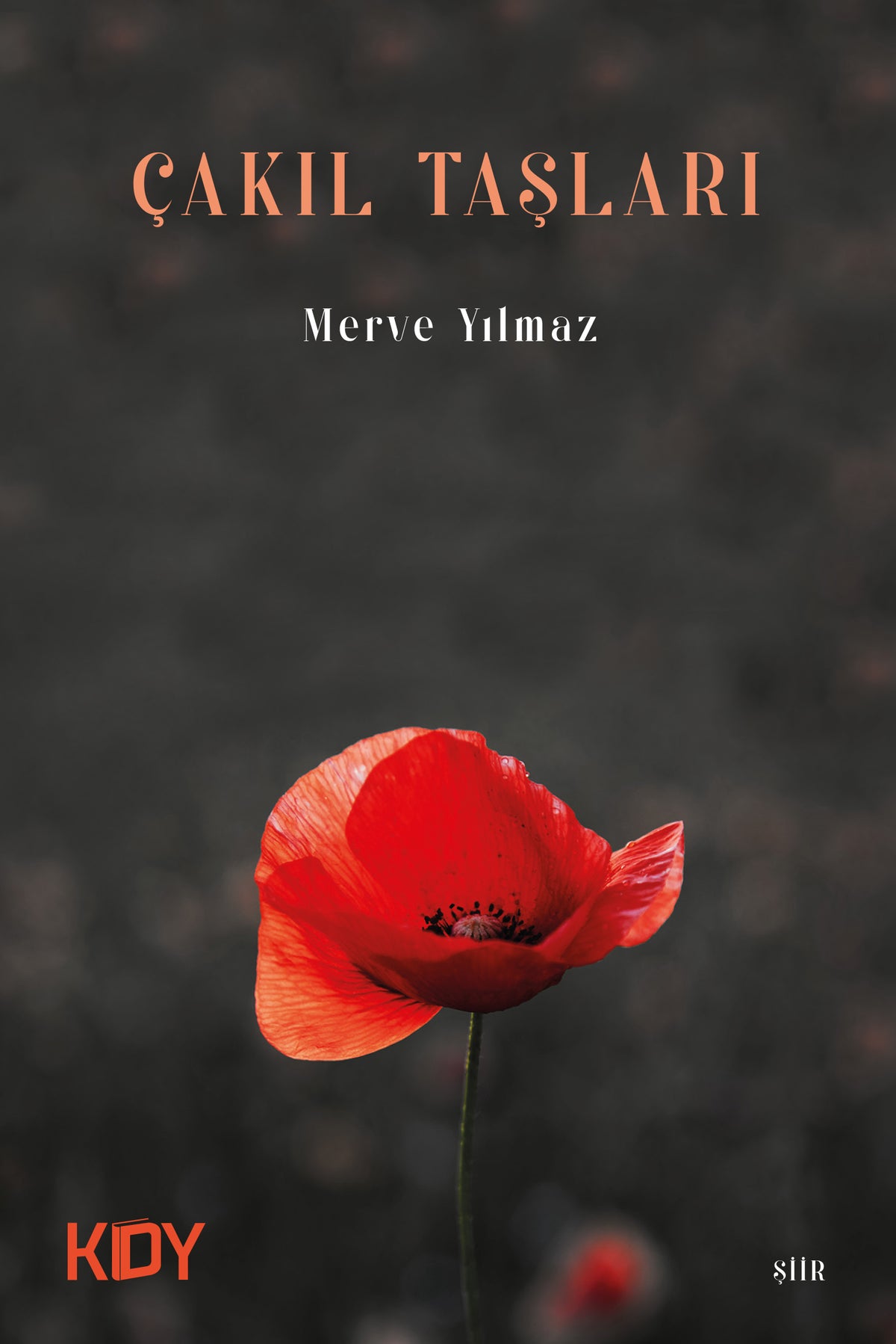 Çakıl Taşları - Merve Yılmaz kitap kapağı