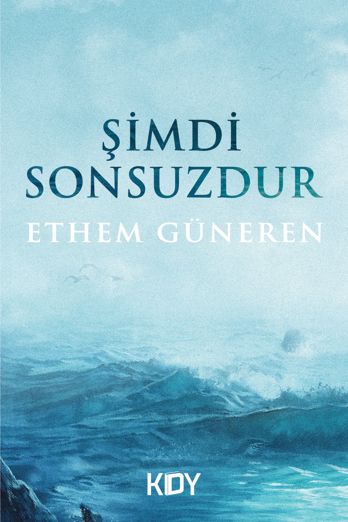 Şimdi Sonsuzdur - Prof. Dr. Ethem Güneren kitap kapağı