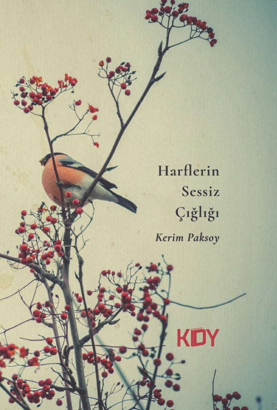 Harflerin Sessiz Çığlığı - Kerim Paksoy kitap kapağı