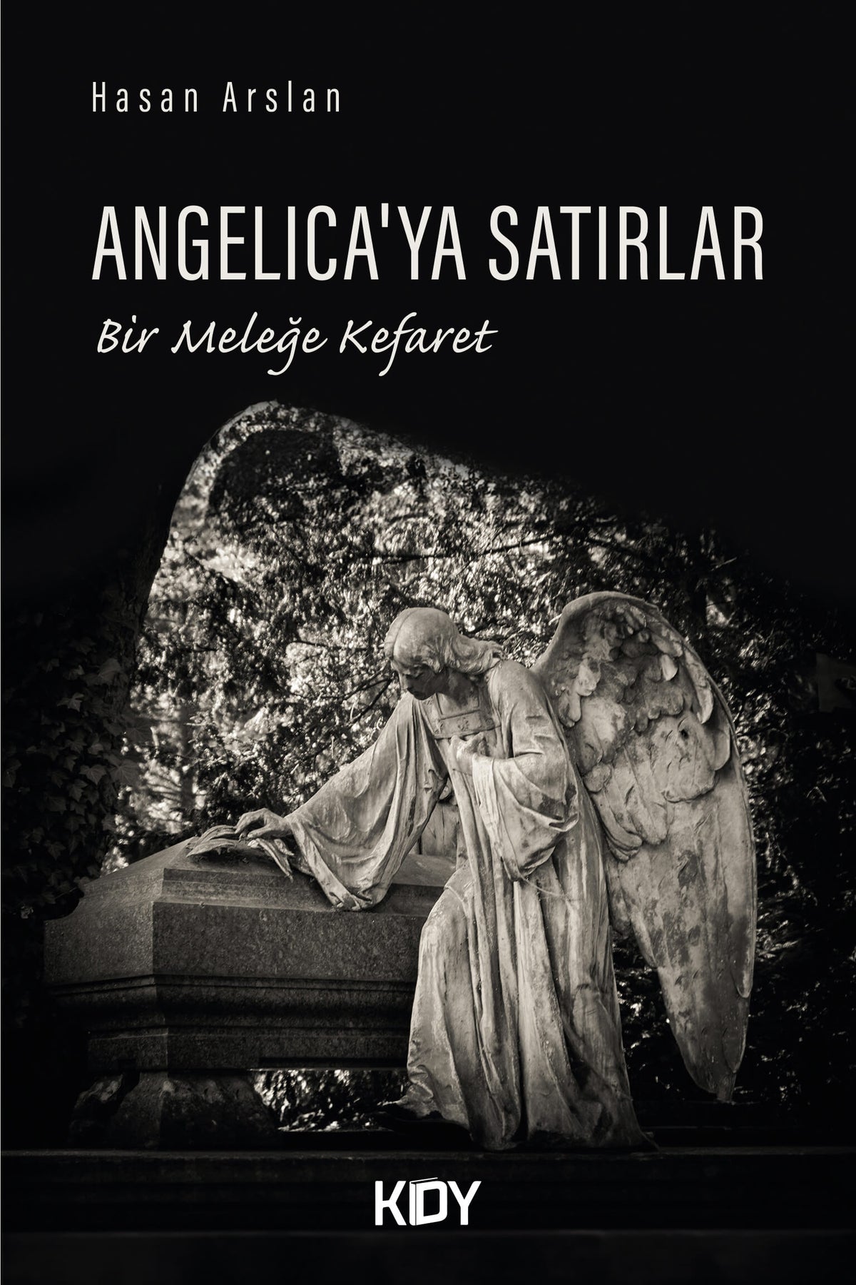 Angelica'ya Satırlar - Hasan Arslan kitap kapağı