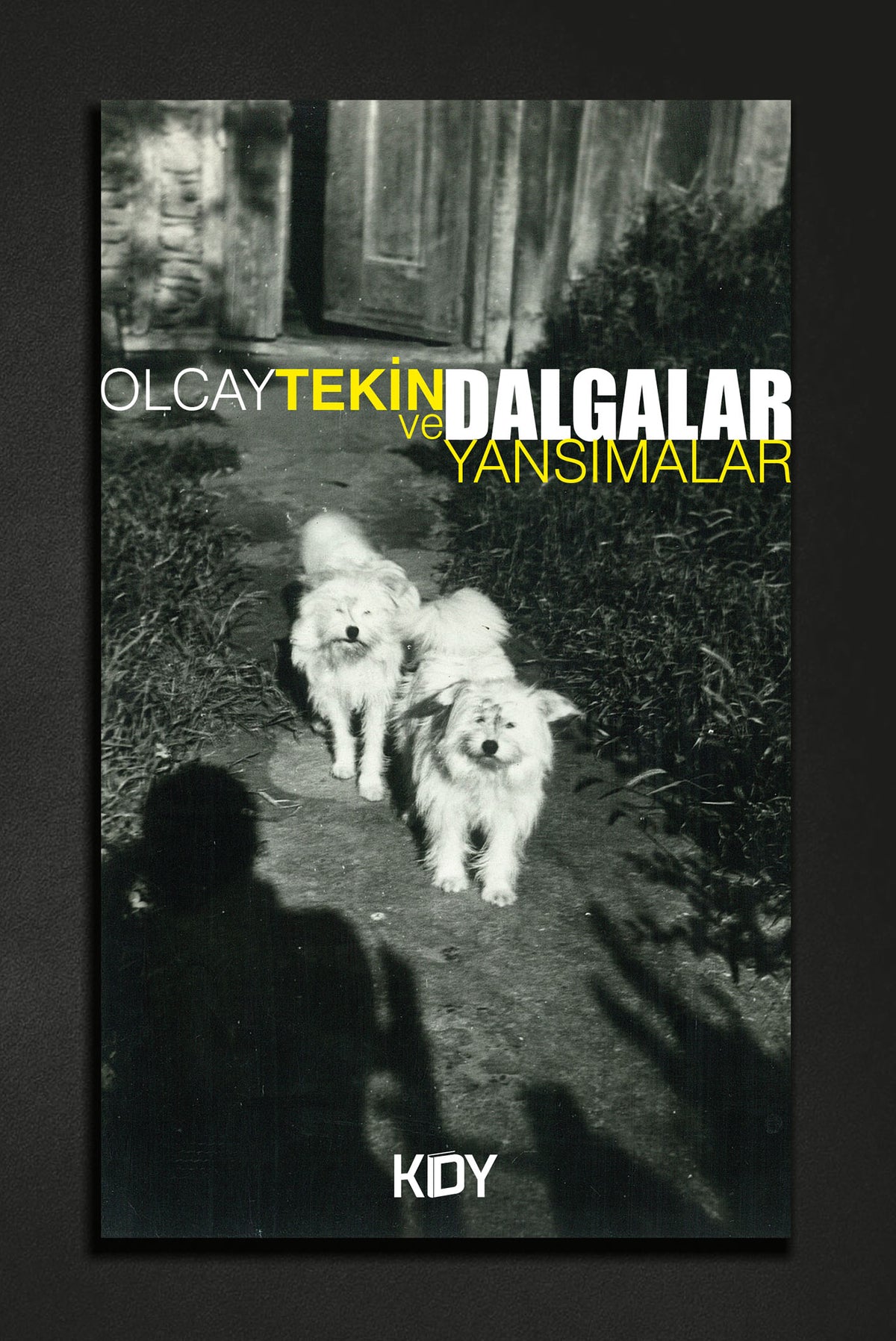 Dalgalar ve Yansımalar - Olcay Tekin kitap kapağı