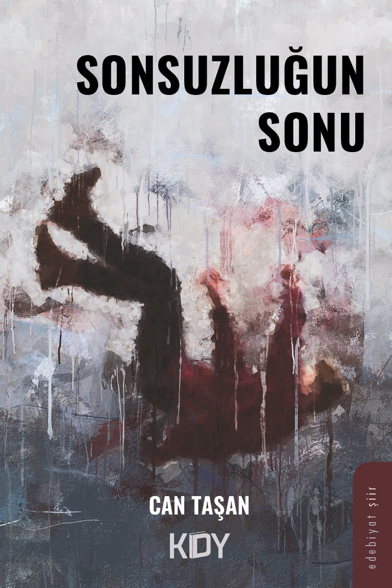 Sonsuzluğun Sonu - Can Taşan kitap kapağı