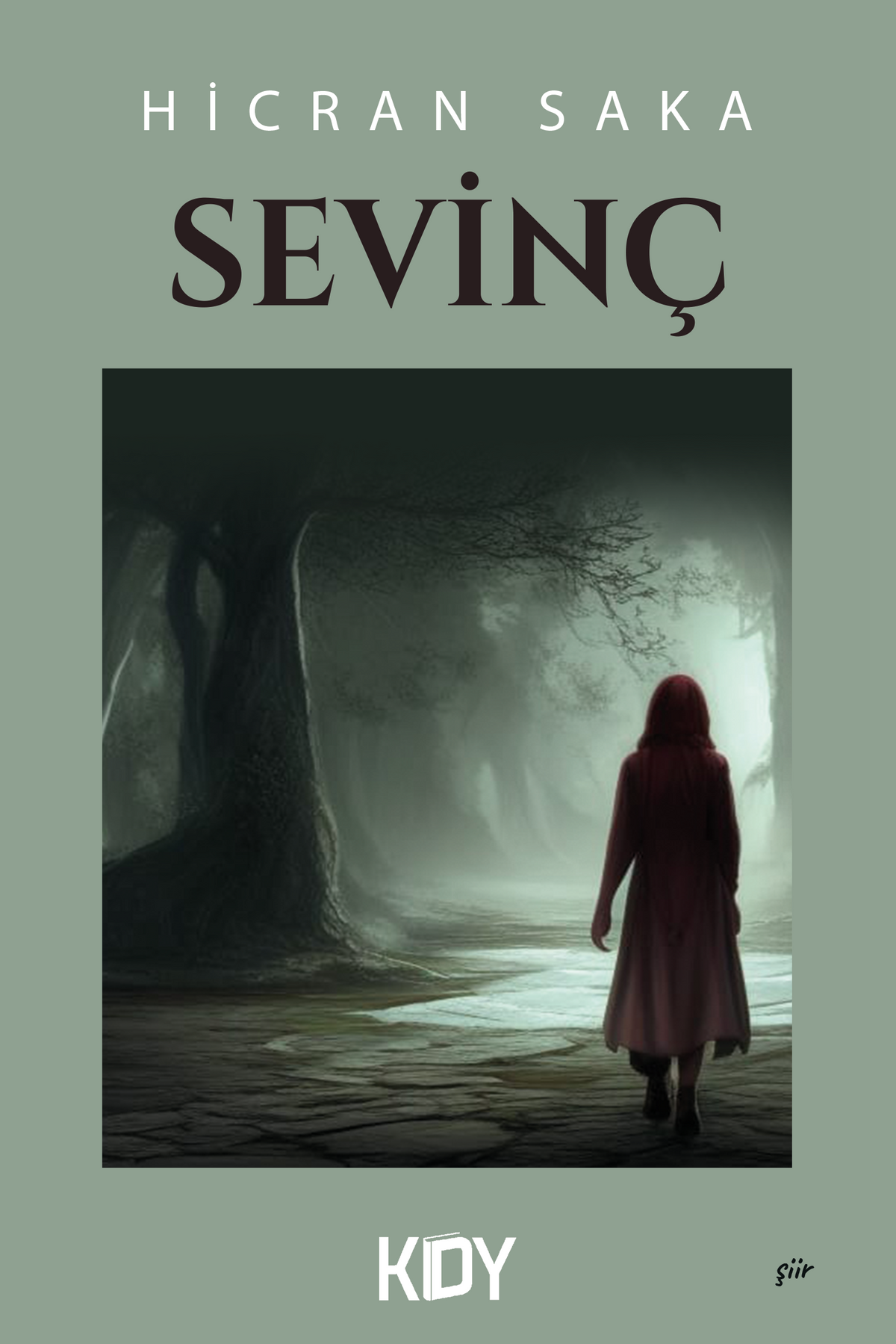 Sevinç - Hicran Saka kitap kapağı