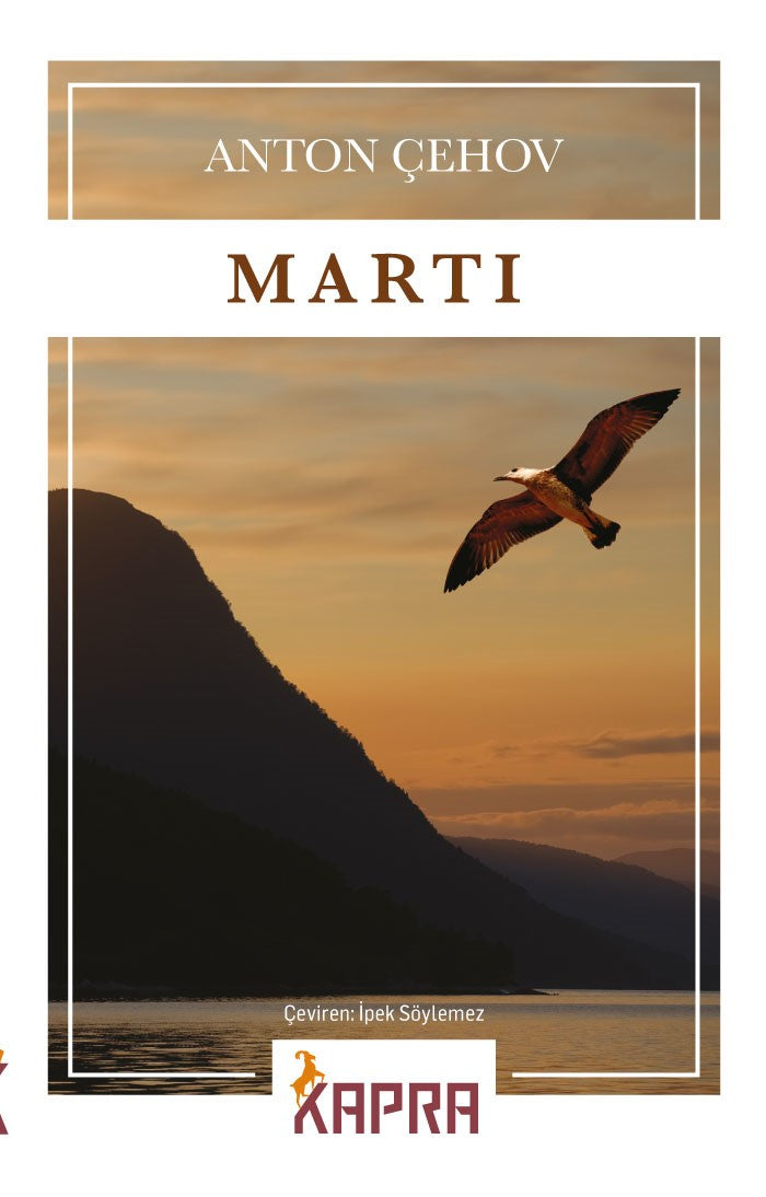 Martı - Anton Çehov kitap kapağı