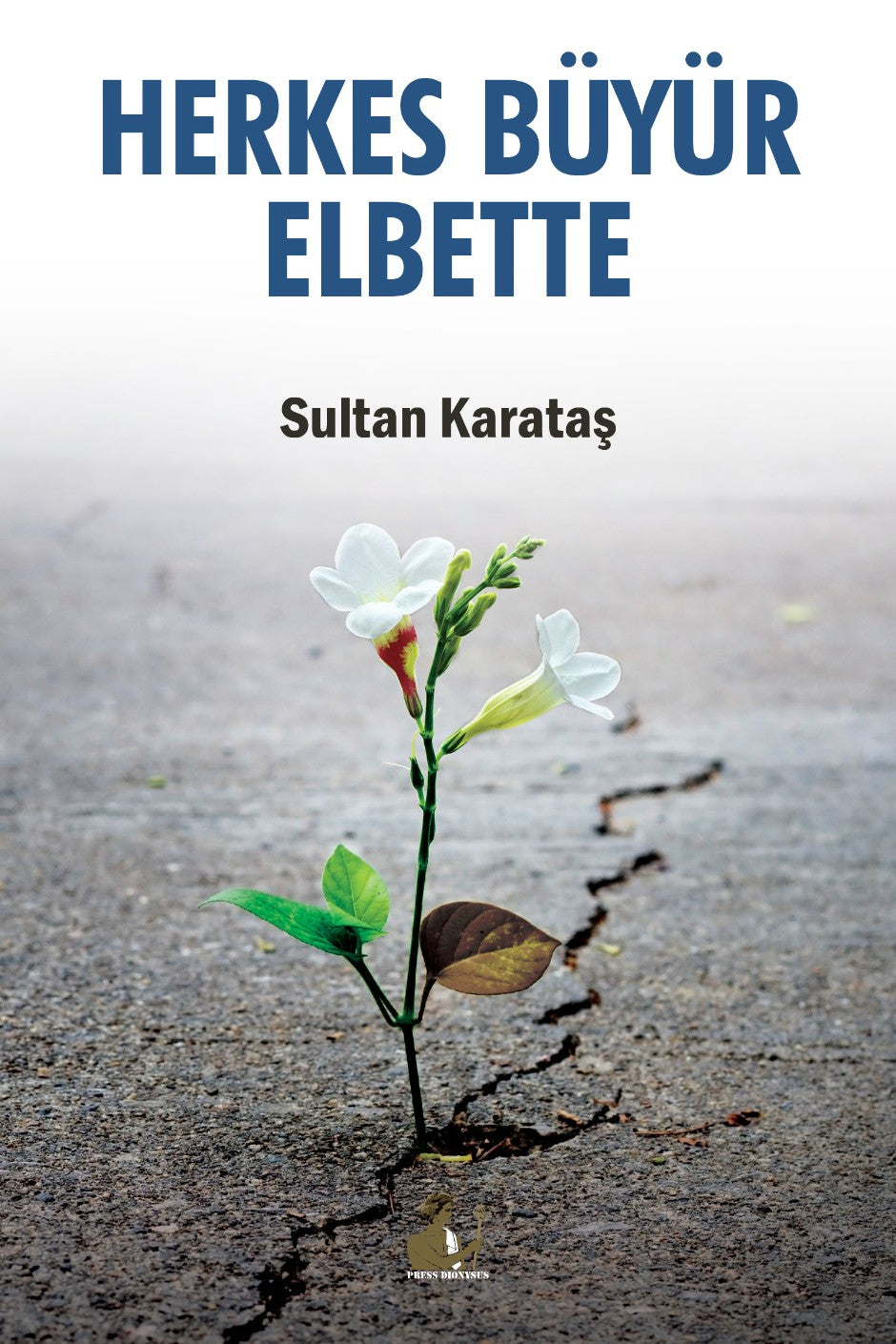 Herkes Büyür Elbette - Sultan Karataş kitap kapağı