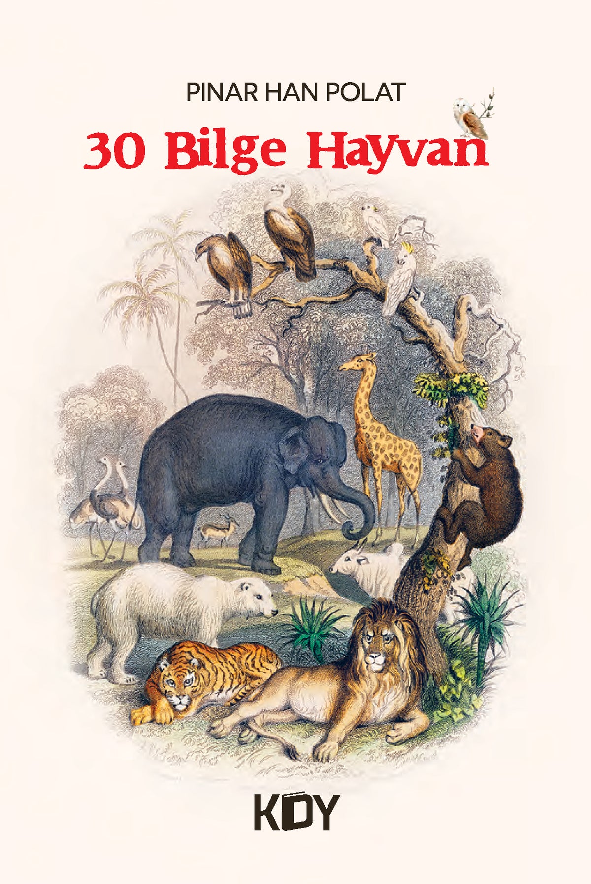 Otuz Bilge Hayvan - Pınar Han Polat kitap kapağı