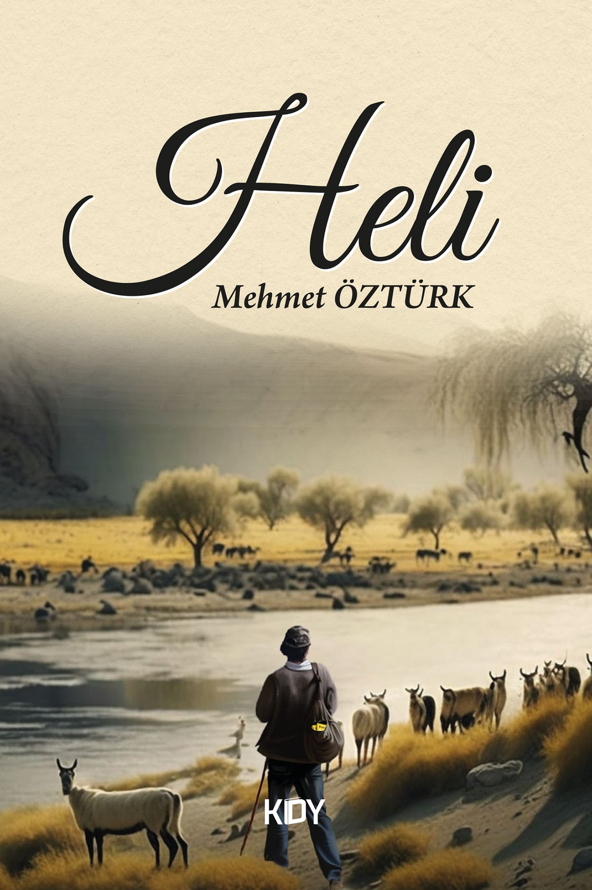 Heli - Mehmet Öztürk kitap kapağı