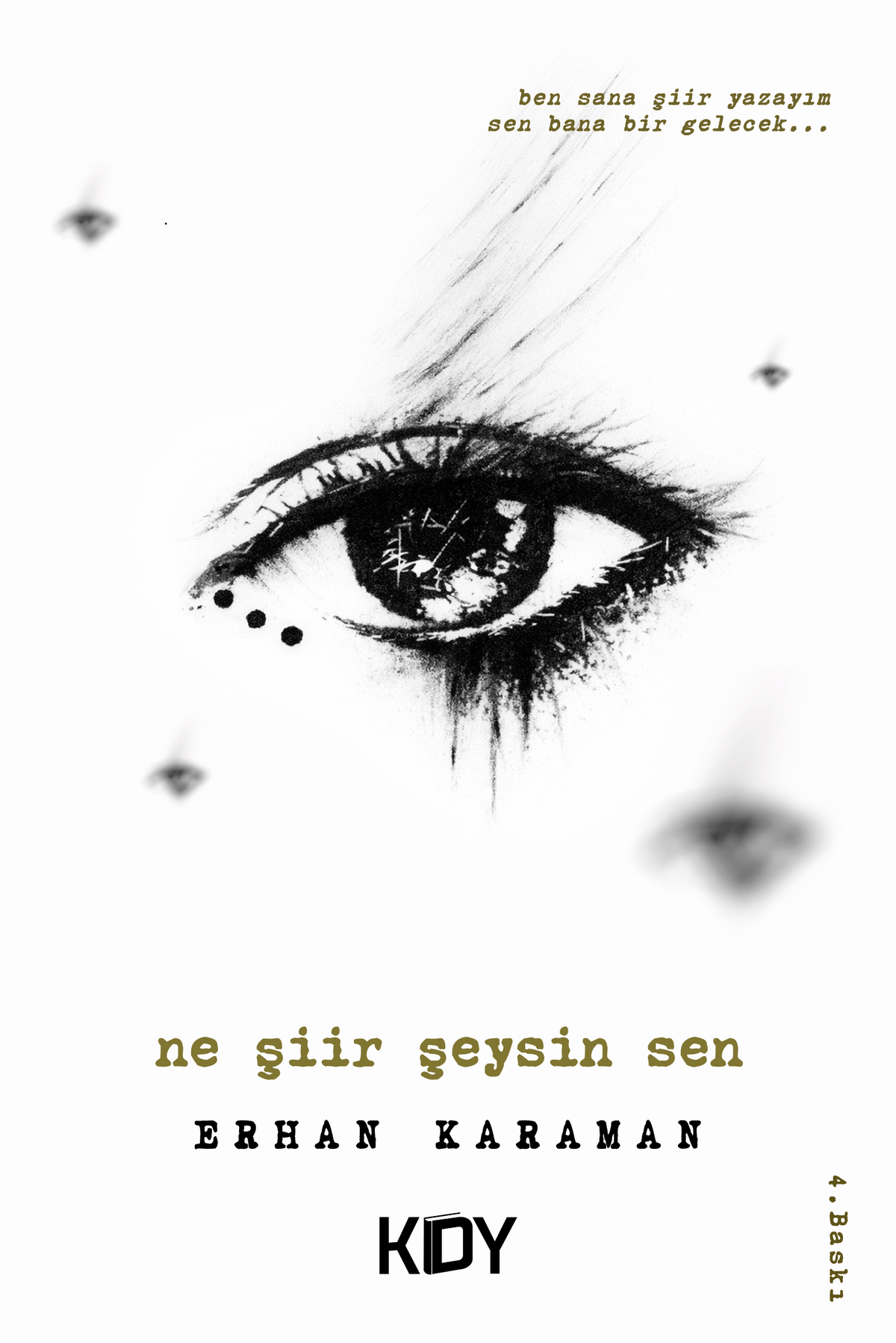 Ne Şiir Şeysin Sen - Erhan Karaman kitap kapağı