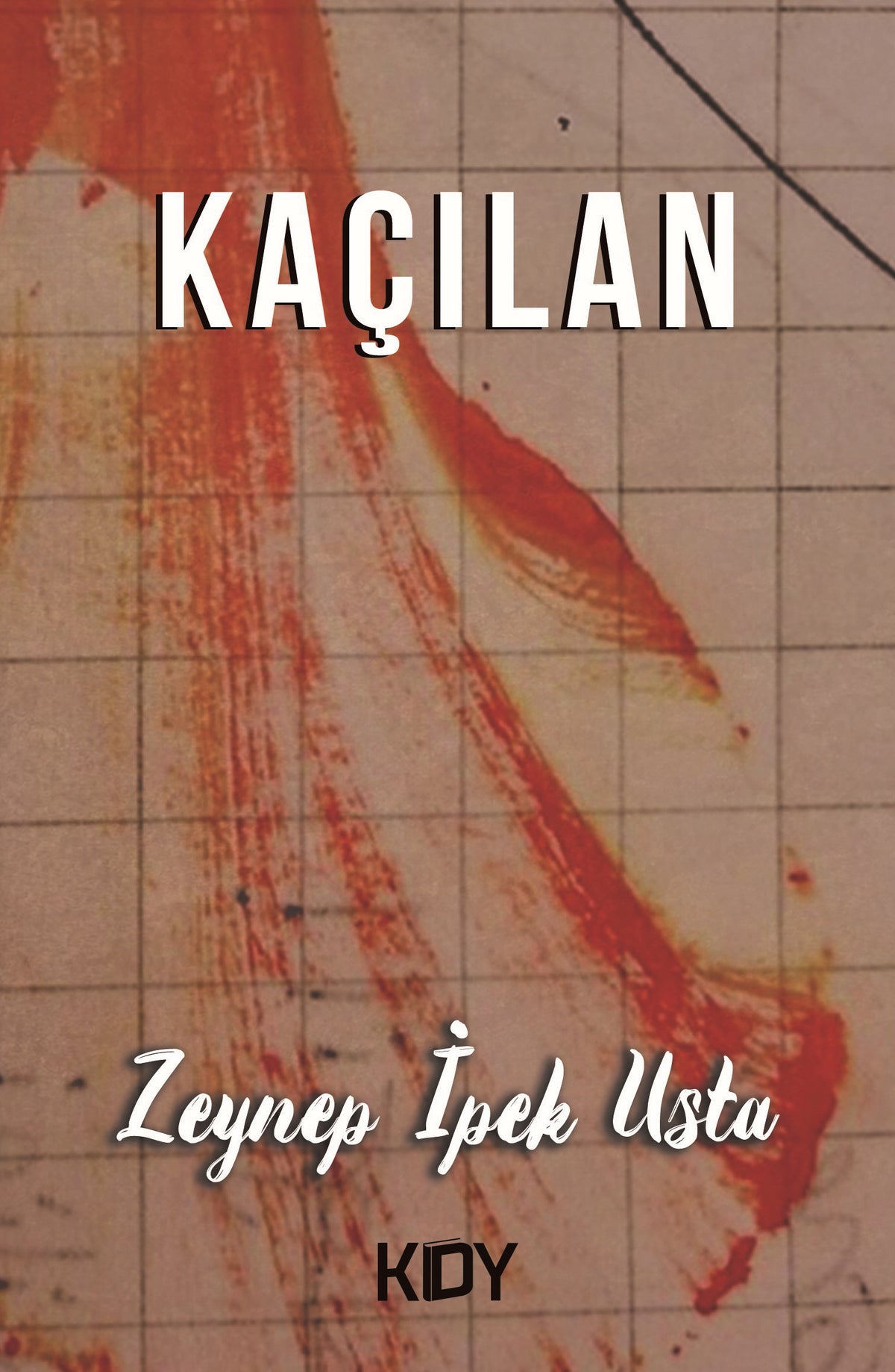 Kaçılan - Zeynep İpek Usta kitap kapağı