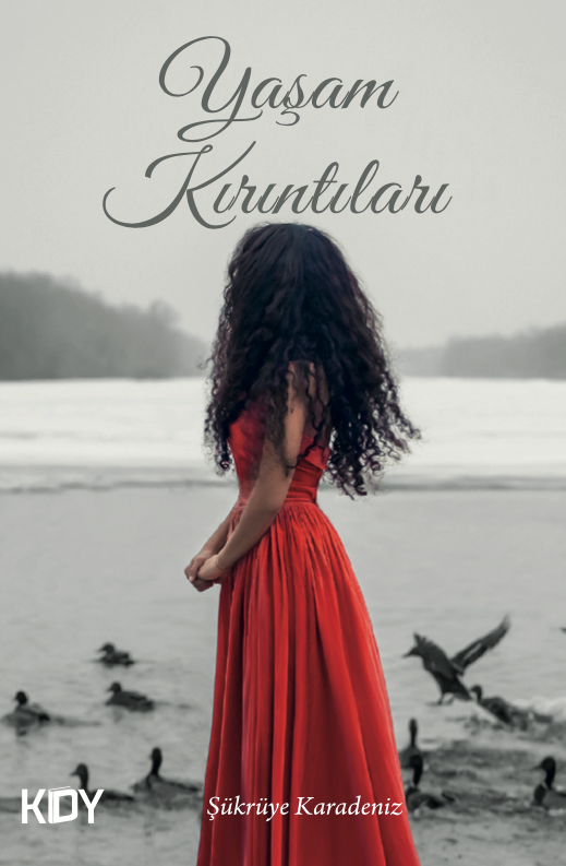 Yaşam Kırıntıları - Şükrüye Karadeniz kitap kapağı