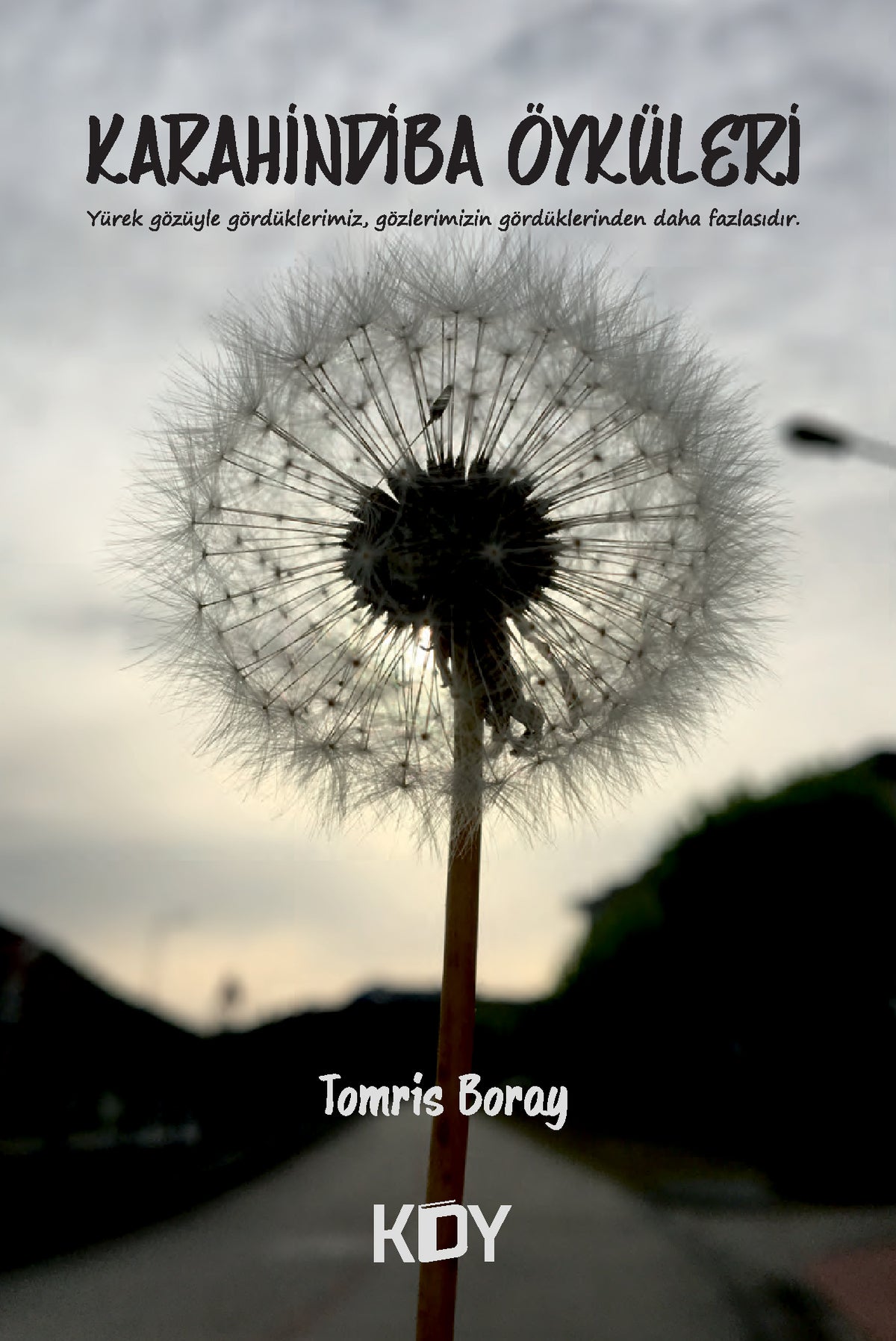 Karahindiba Öyküleri - Tomris Boray kitap kapağı