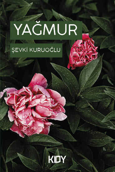 Yağmur - Şevki Kuruoğlu kitap kapağı