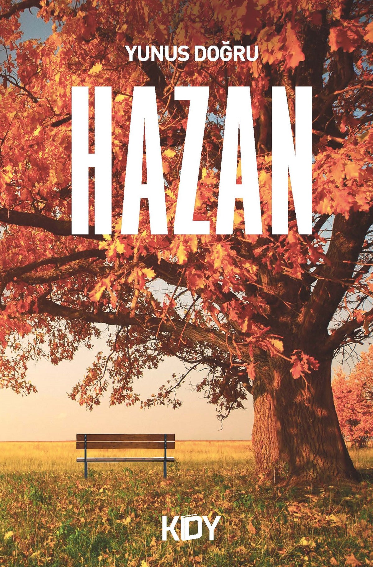 Hazan - Yunus Doğru kitap kapağı