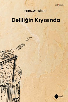 Deliliğin Kıyısında - Turgay Ekinci kitap kapağı