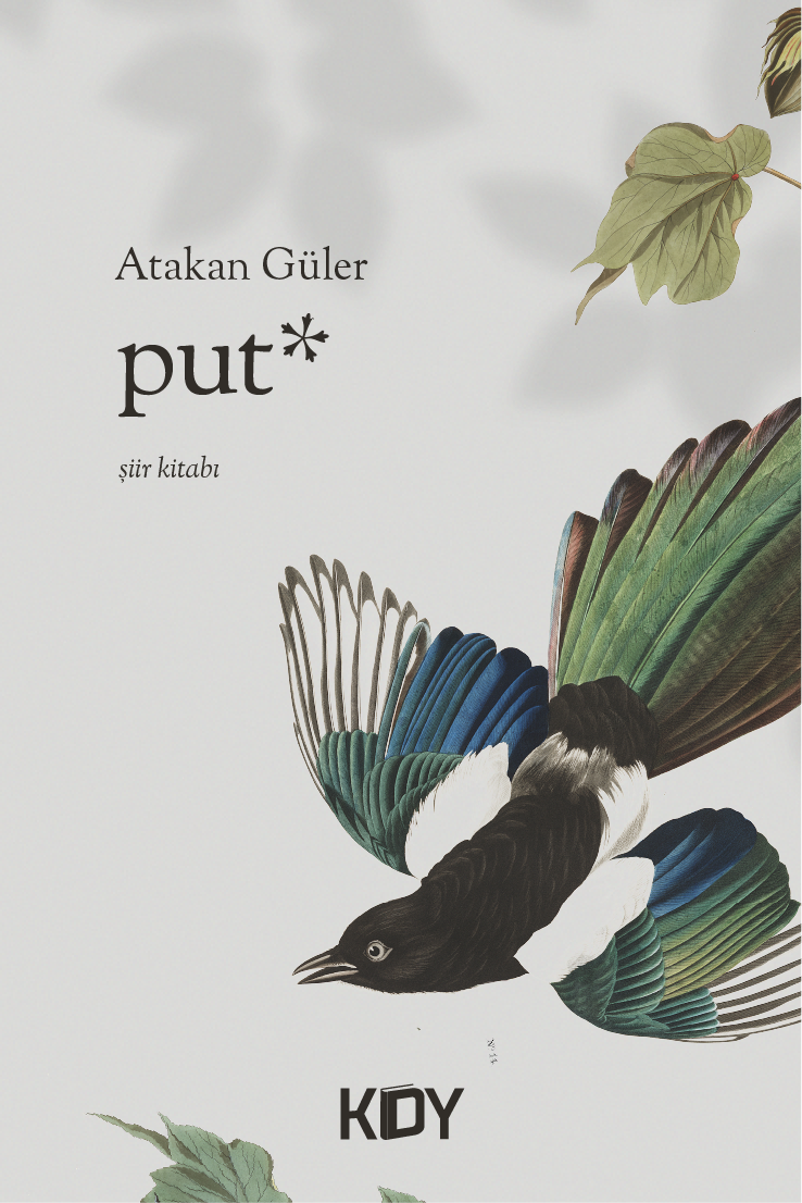 Put - Atakan Güler kitap kapağı