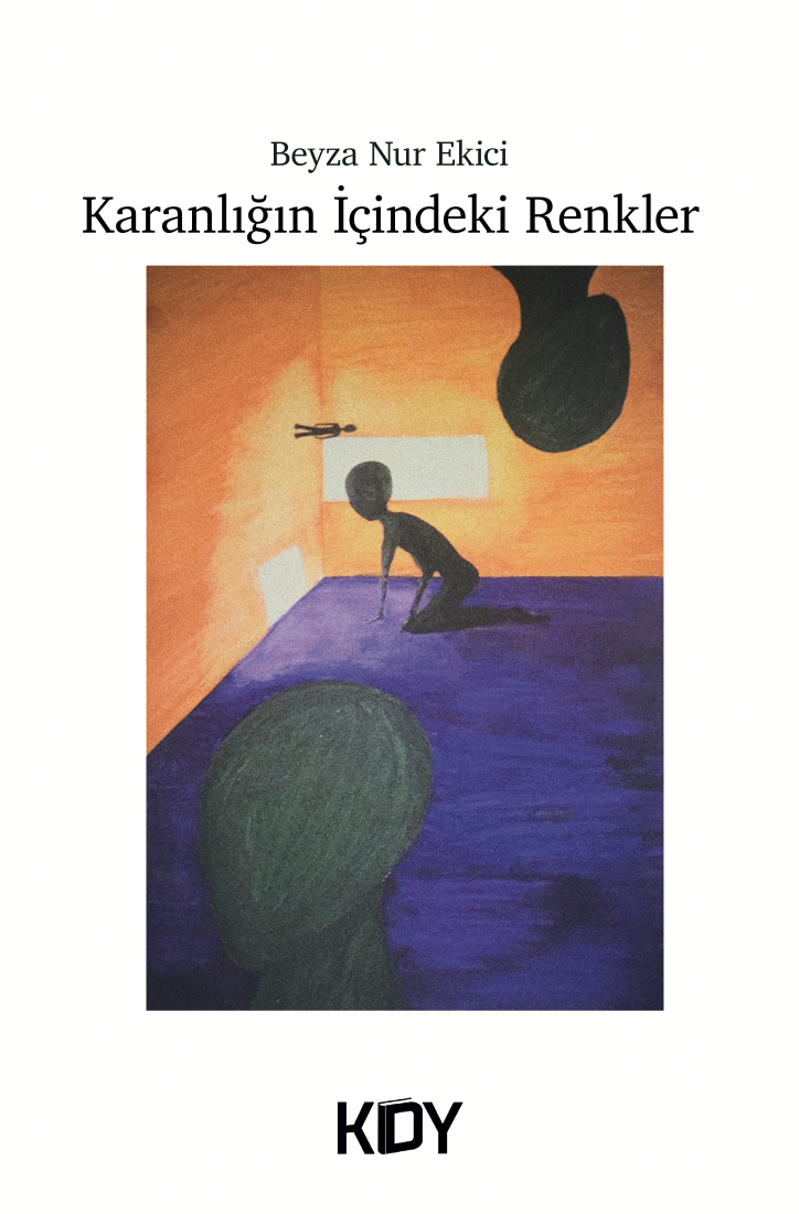 Karanlığın İçindeki Renkler - Beyza Nur Ekici kitap kapağı