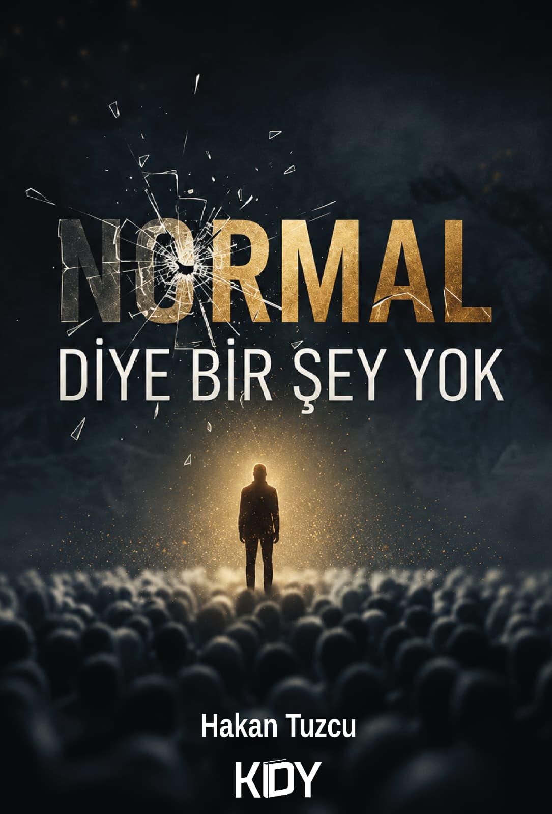 Normal Diye Bir şey Yok - Hakan Tuzcu kitap kapağı
