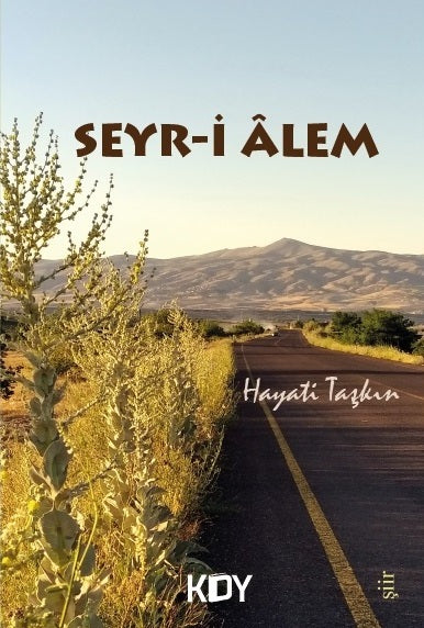 Seyr-i Alem - Hayati Taşkın kitap kapağı