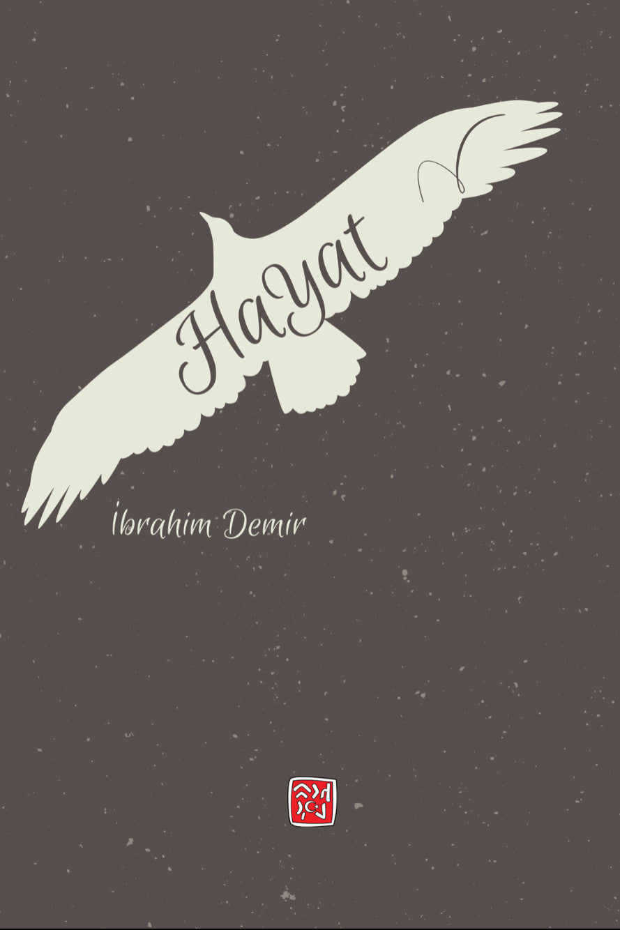 Hayat - İbrahim Demir kitap kapağı