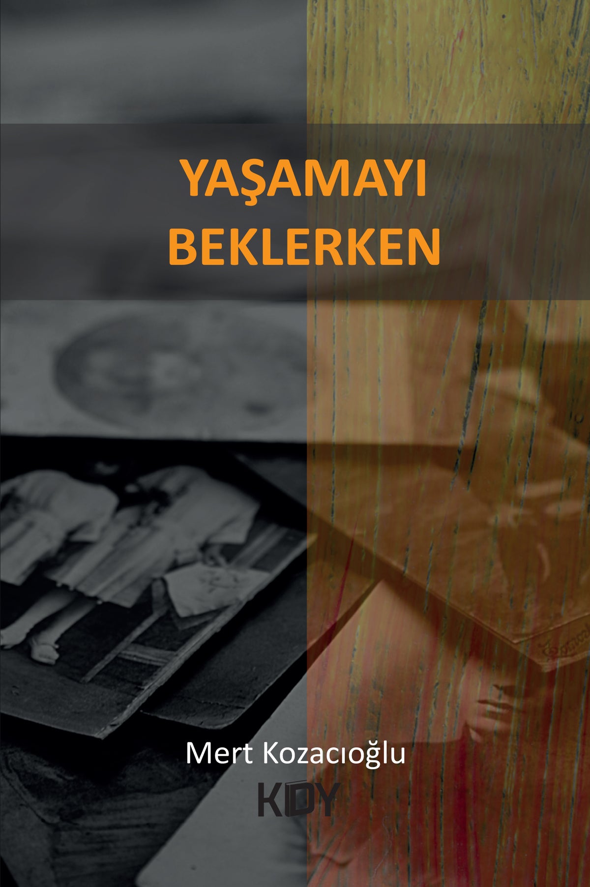 Yaşamayı Beklerken - Mert Kozacıoğlu kitap kapağı