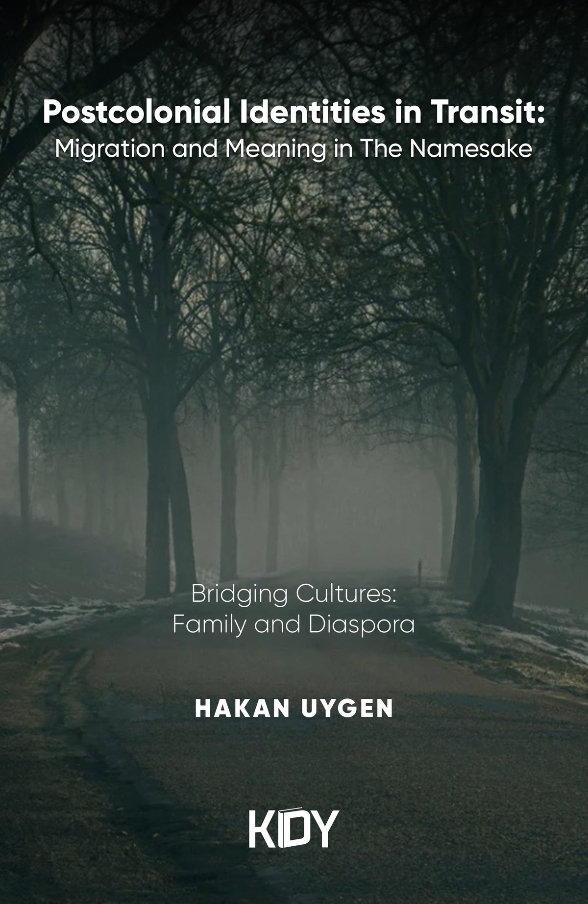Postcolonial Identities in Transit - Hakan Uygen kitap kapağı