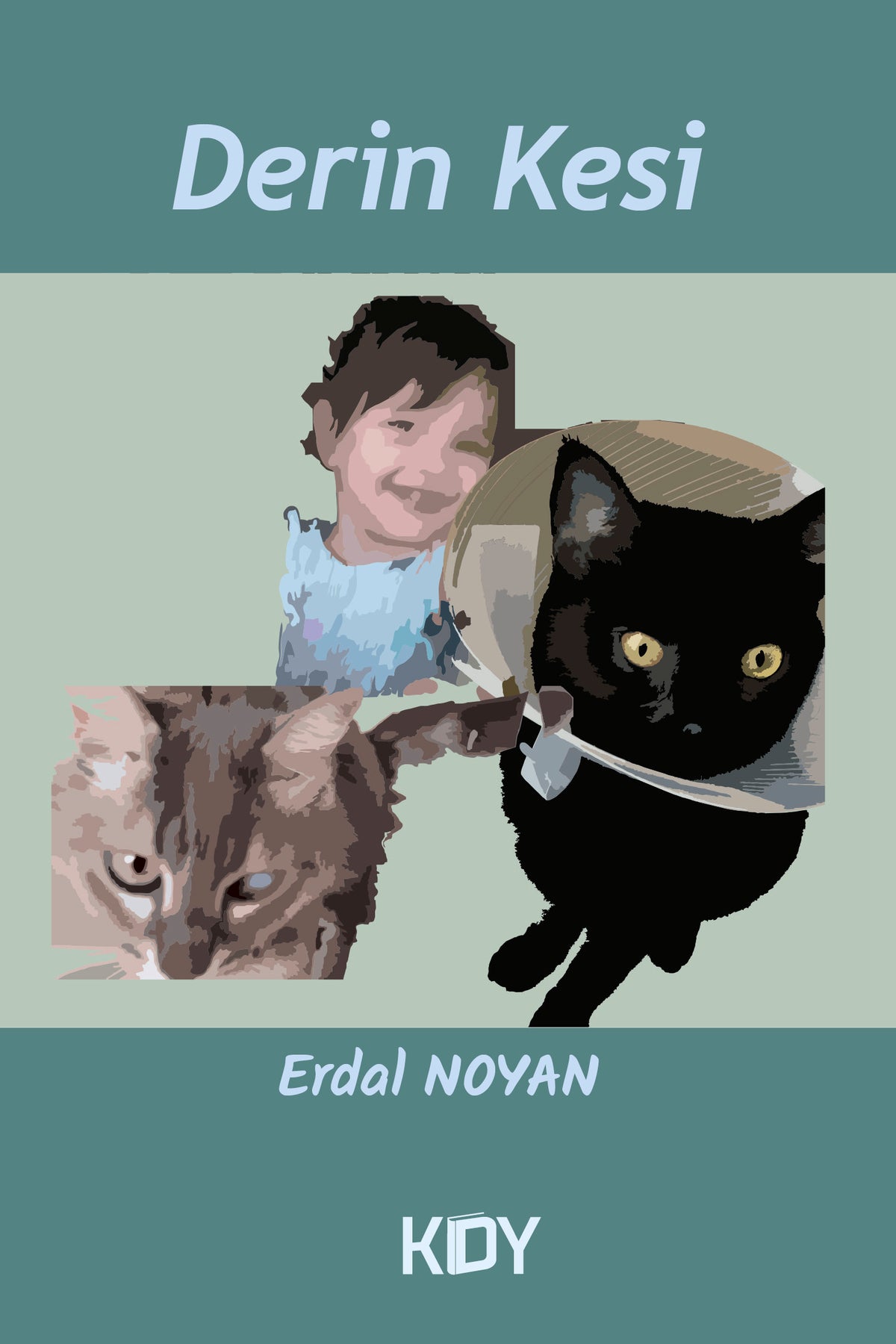 Derin Kesi - Erdal Noyan kitap kapağı
