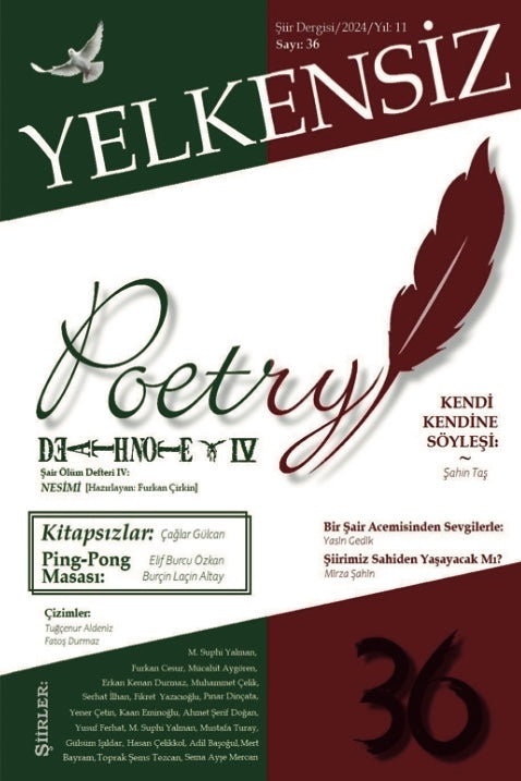 Yelkensiz 36 - Kolektif kitap kapağı