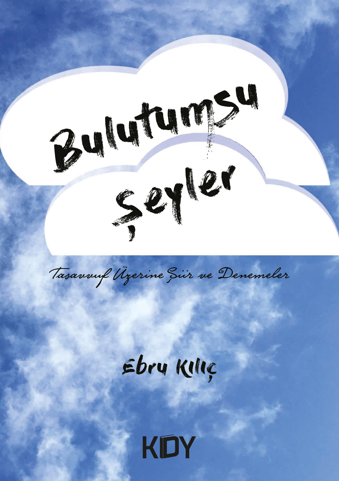 Bulutumsu Şeyler - Ebru Kılıç kitap kapağı