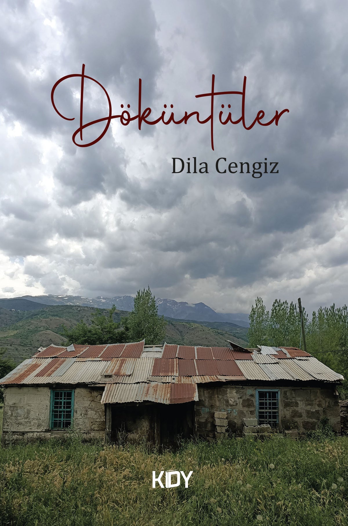 Döküntüler - Dila Cengiz kitap kapağı
