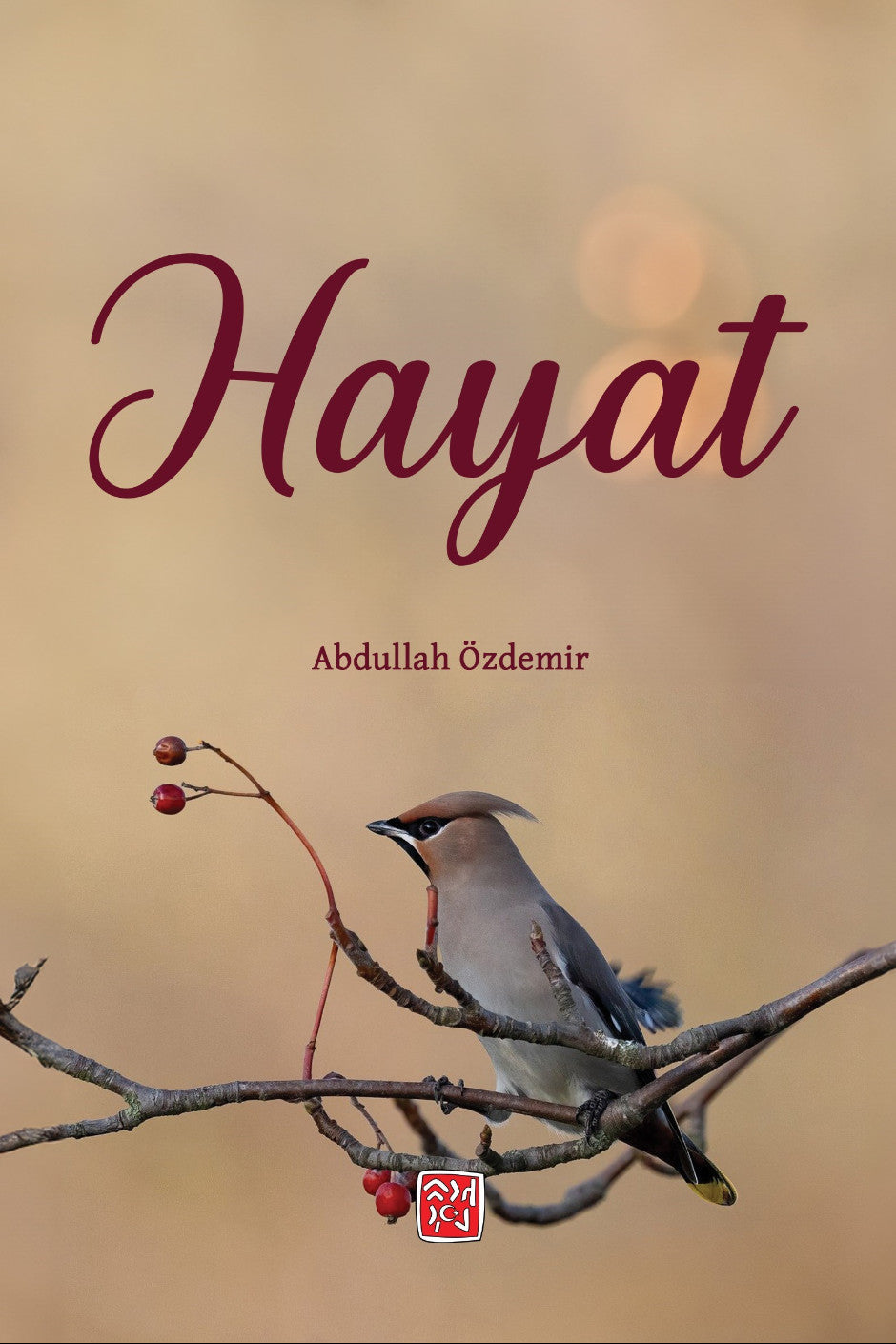 Hayat - Abdullah Özdemir kitap kapağı