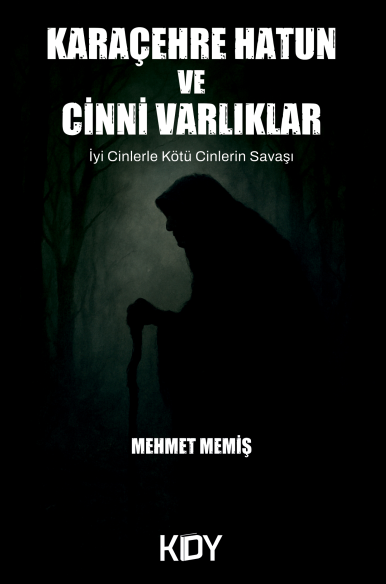 Karaçehre Hatun ve Cinni Varlıklar - Mehmet Memiş kitap kapağı