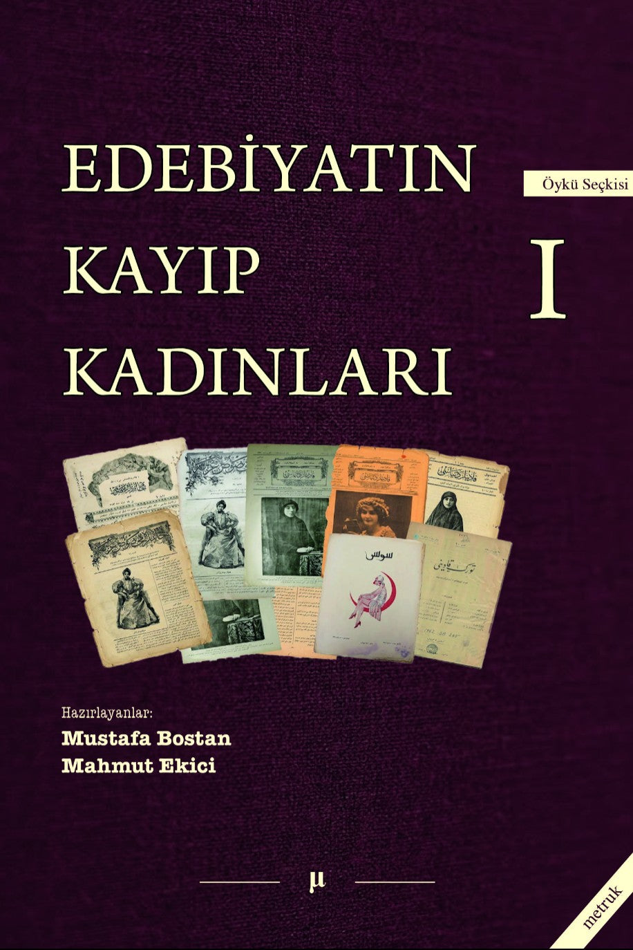Edebiyatın Kayıp Kadınları 1 - Mustafa Bostan kitap kapağı
