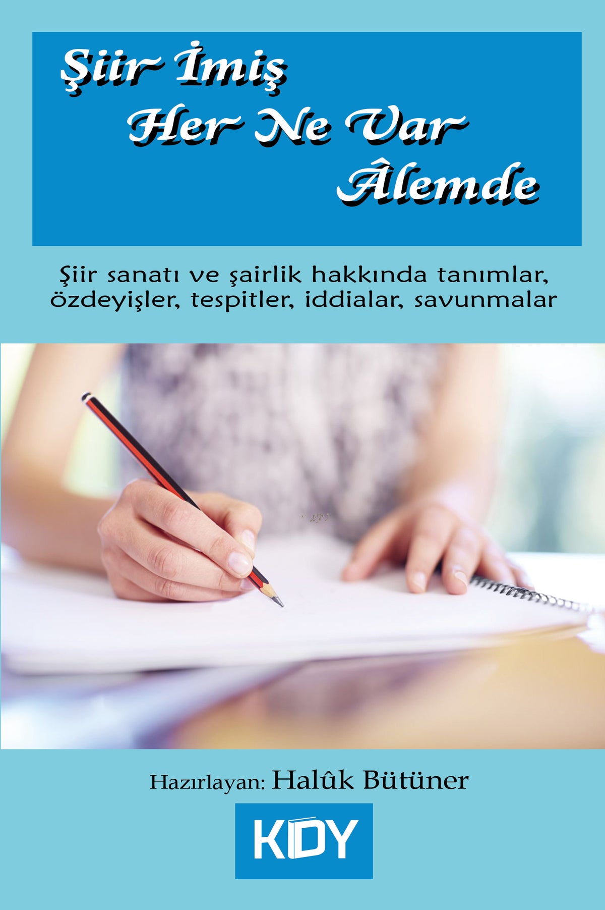 Şiir İmiş Her Ne Var Alemde - Haluk Bütüner kitap kapağı