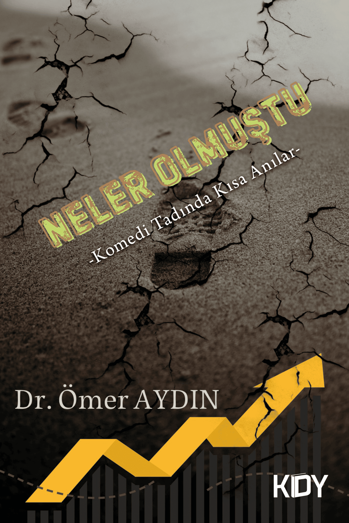 Neler Olmuştu - Dr. Ömer Aydın kitap kapağı
