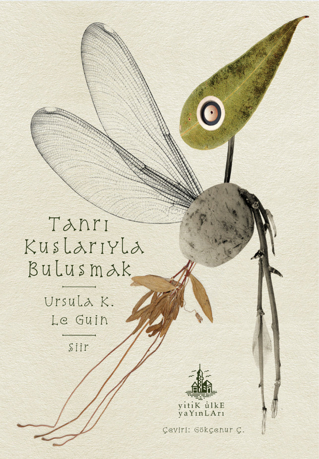 Tanrı Kuşlarıyla Buluşmak - Ursula K. Le Guin kitap kapağı