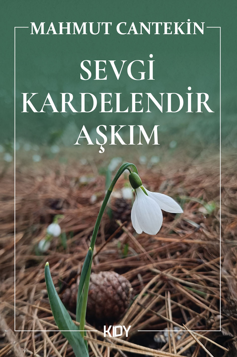 Sevgi Kardelendir Aşkım - Mahmut Cantekin kitap kapağı