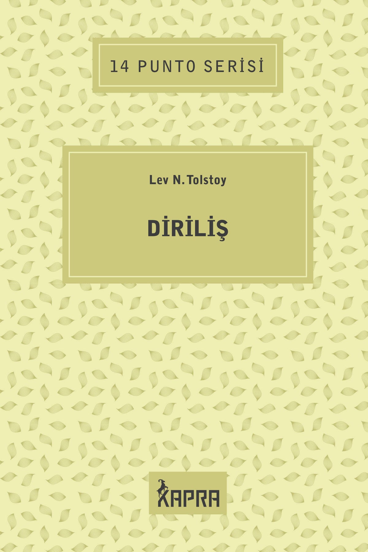 Diriliş / 14 Punto Serisi - Lev N. Tolstoy kitap kapağı